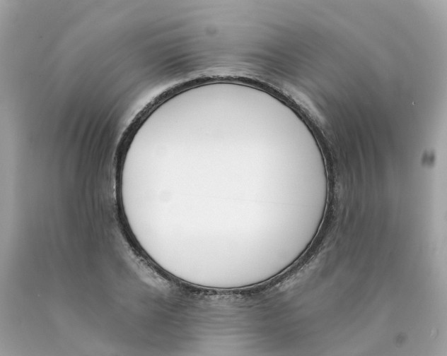 X0000089830934200707262021