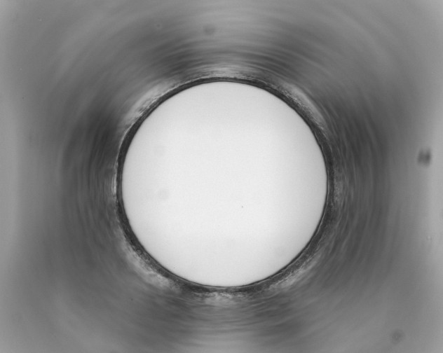 X0000089830938200707262021