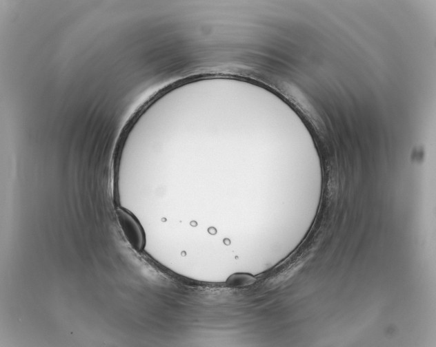 X0000089830940200707262021