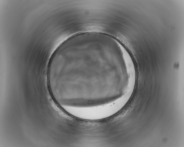 X0000089830941200707262021