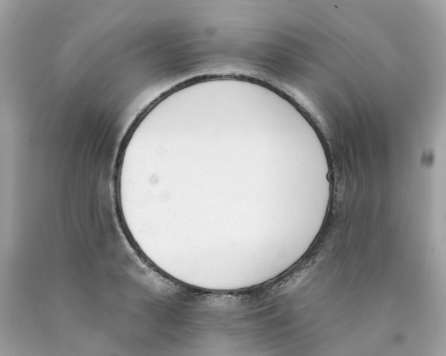 X0000089830943200707262021