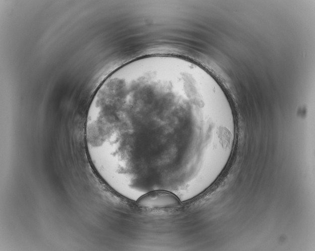 X0000089830945200707262021
