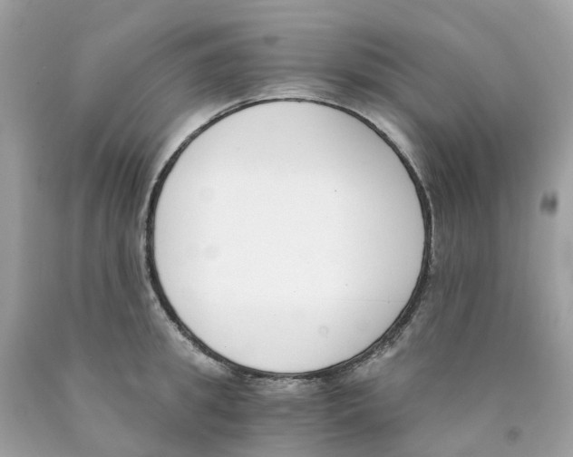 X0000089830949200707262021
