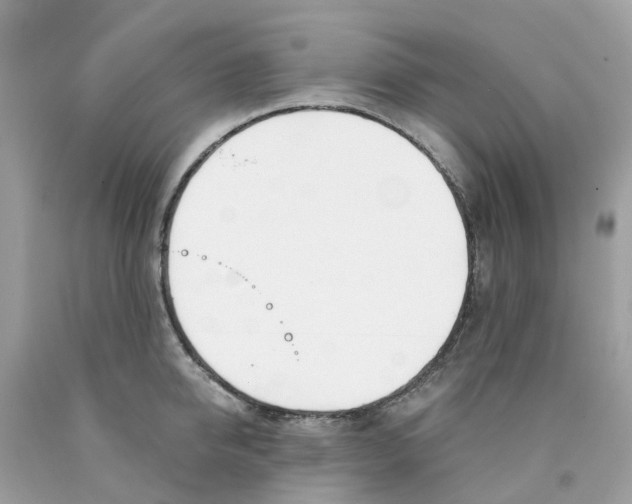 X0000089830950200707262021