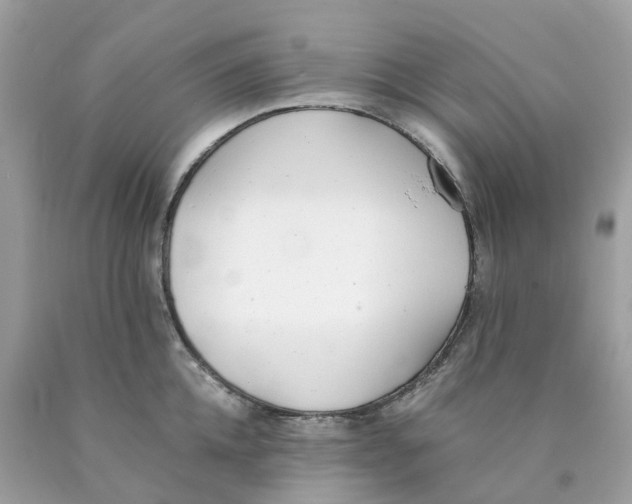 X0000089830952200707262021