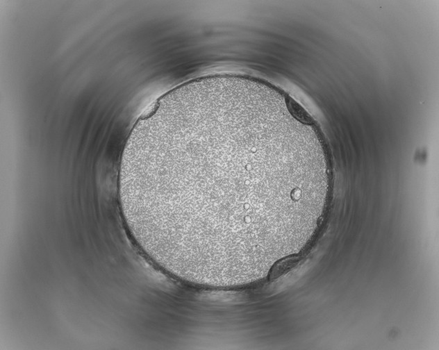X0000089830953200707262021