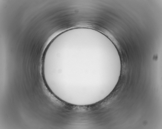 X0000089830955200707262021