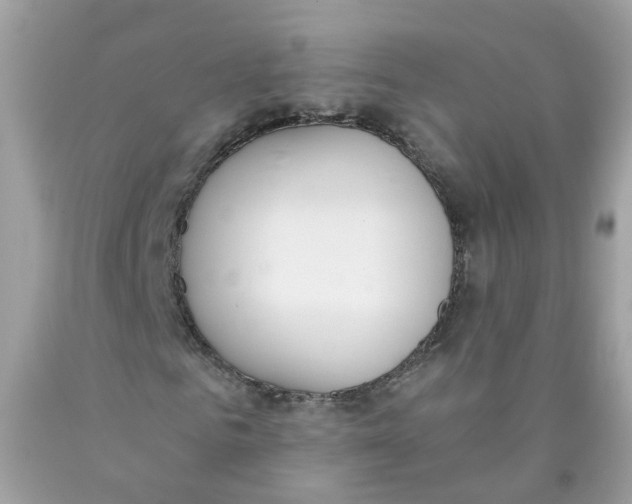 X0000089830961200707262021