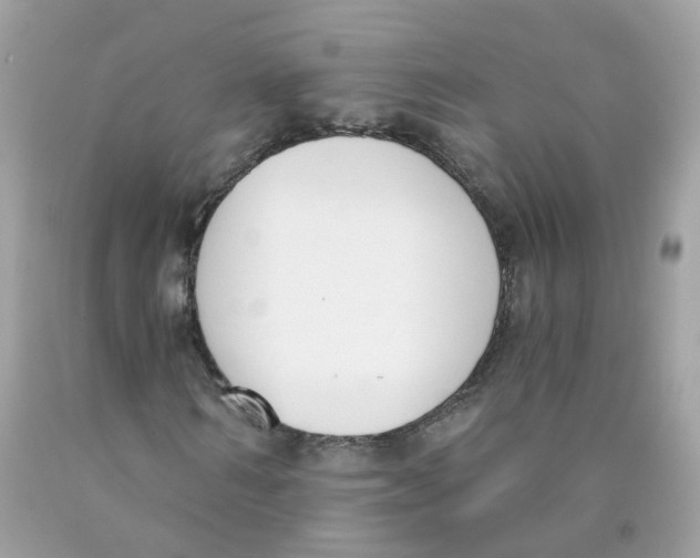 X0000089830962200707262020