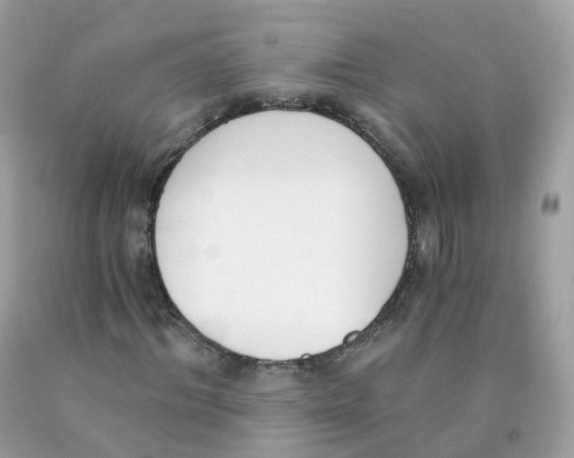 X0000089830964200707262020