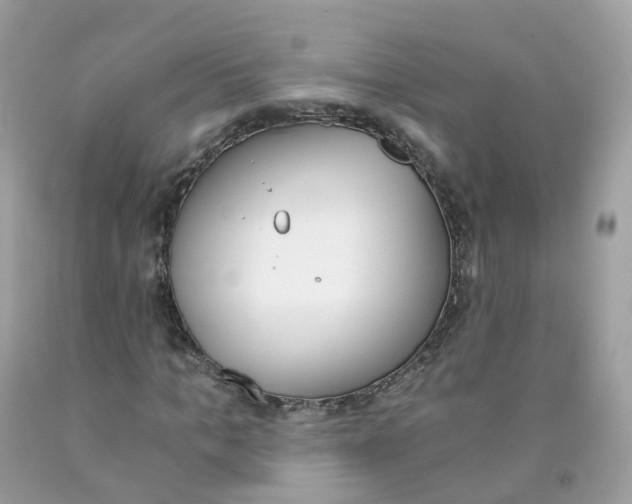 X0000089830965200707262020