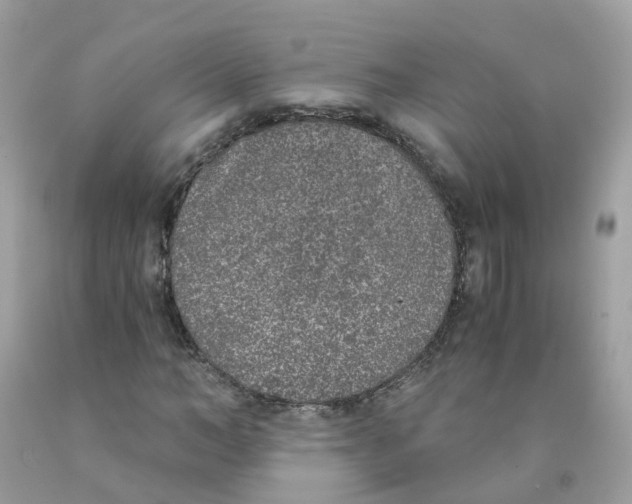 X0000089830966200707262020