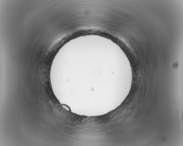 X0000089830967200707262020