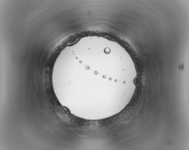 X0000089830968200707262020