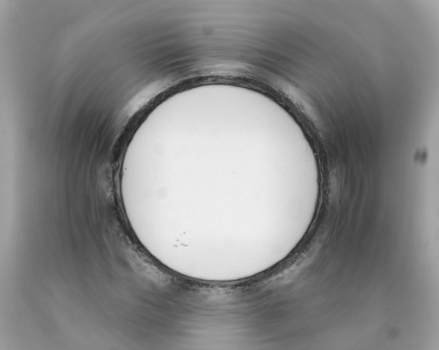 X0000089830970200707262020