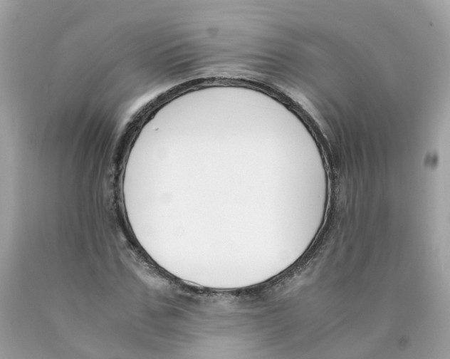 X0000089830971200707262020