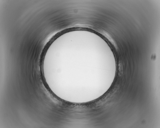X0000089830972200707262020