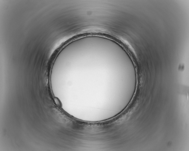 X0000089830973200707262020