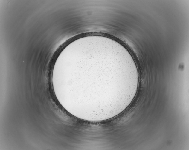 X0000089830975200707262020