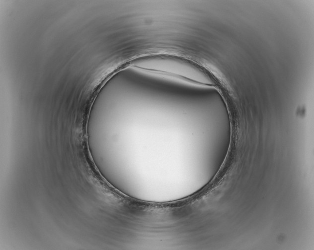 X0000089830977200707262020