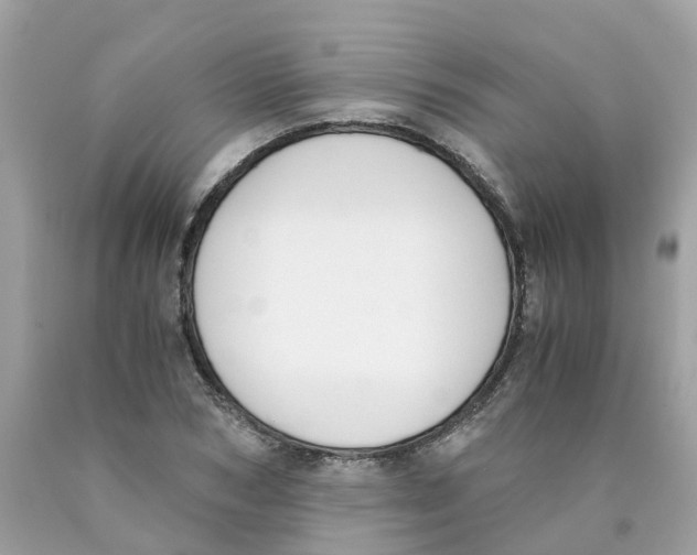 X0000089830978200707262020