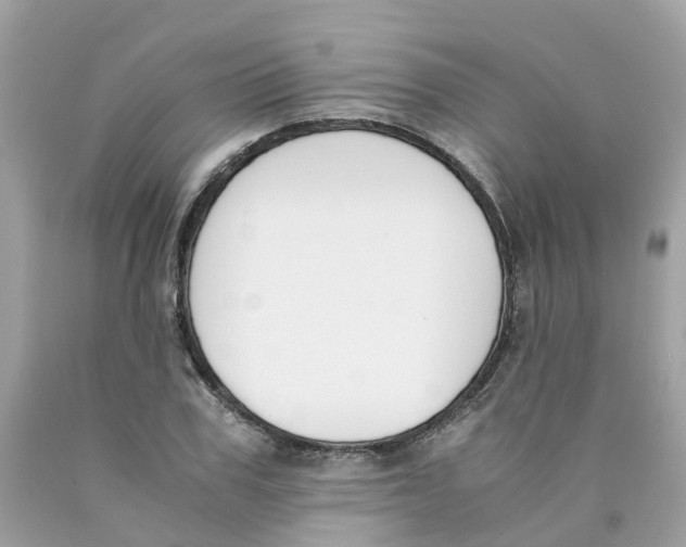 X0000089830979200707262020