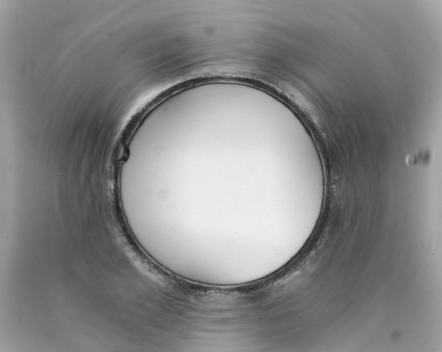 X0000089830981200707262020