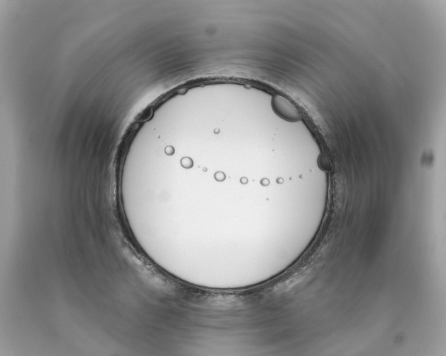 X0000089830982200707262020
