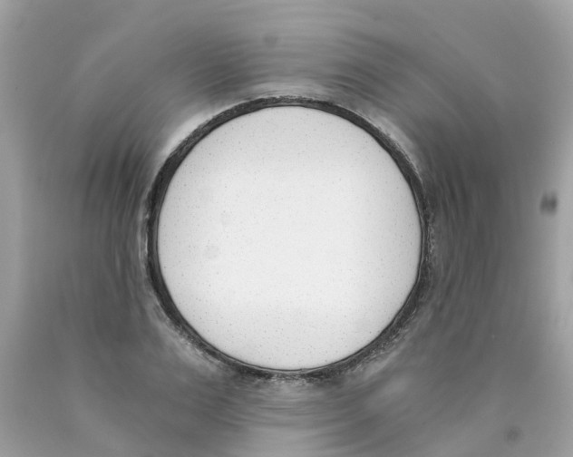 X0000089830983200707262020