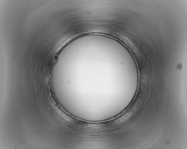 X0000089830985200707262020