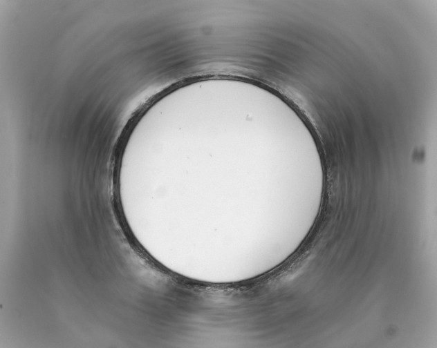 X0000089830987200707262020