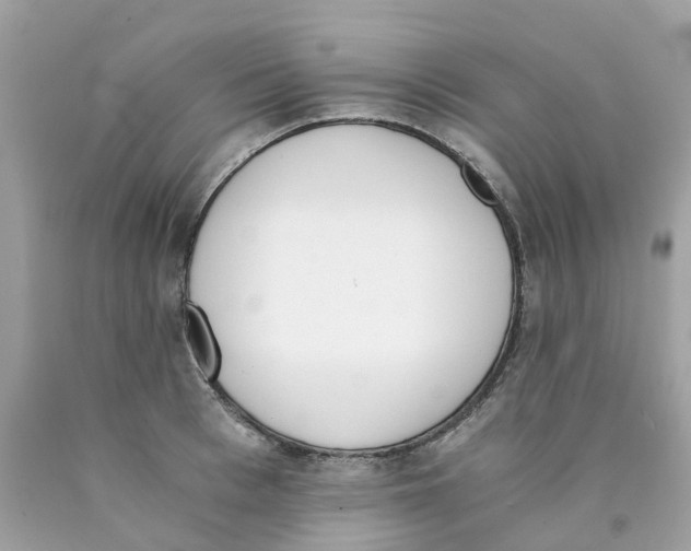 X0000089830993200707262020