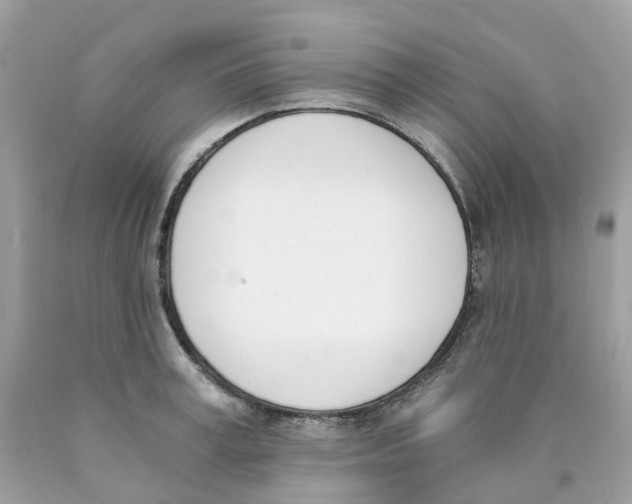 X0000089830995200707262020