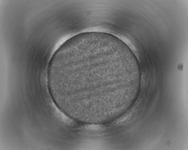 X0000089830998200707262020