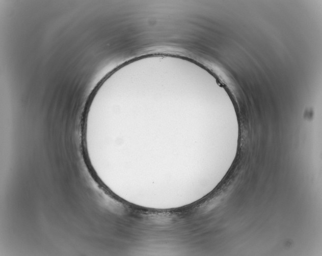 X0000089830999200707262020