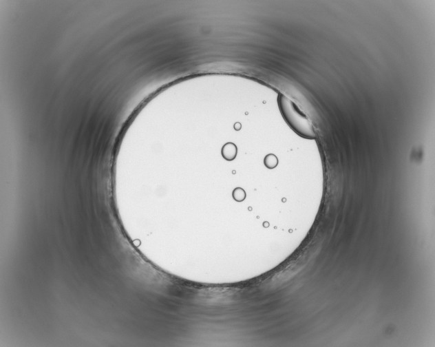 X0000089831000200707262020