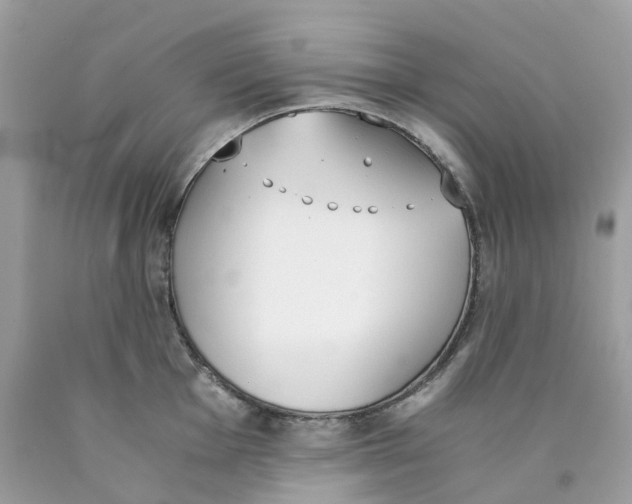 X0000089831001200707262020