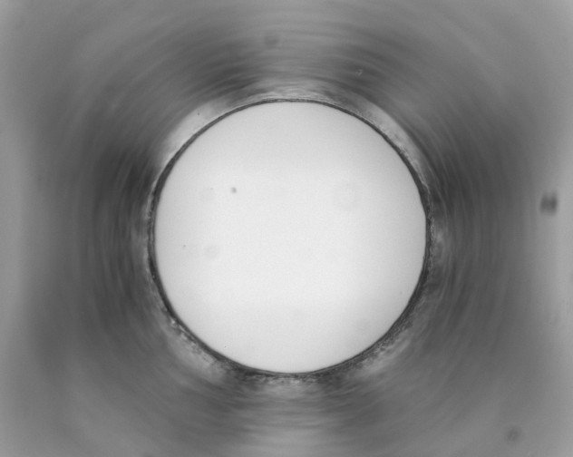 X0000089831002200707262020
