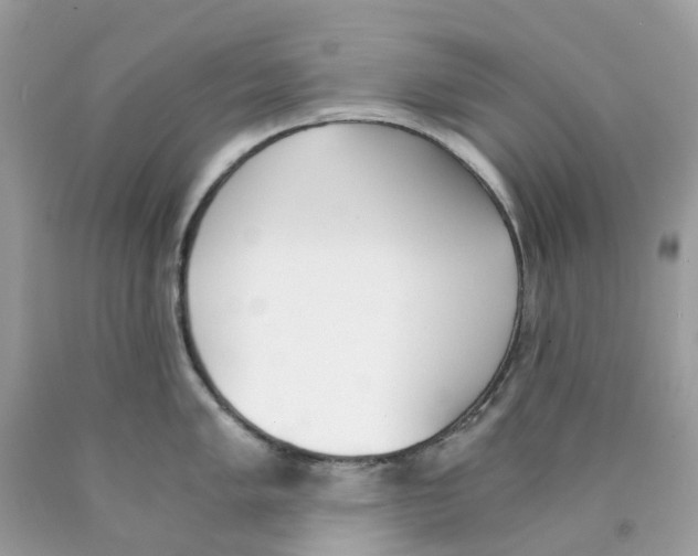 X0000089831005200707262020
