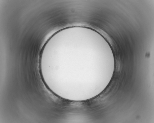 X0000089831006200707262020