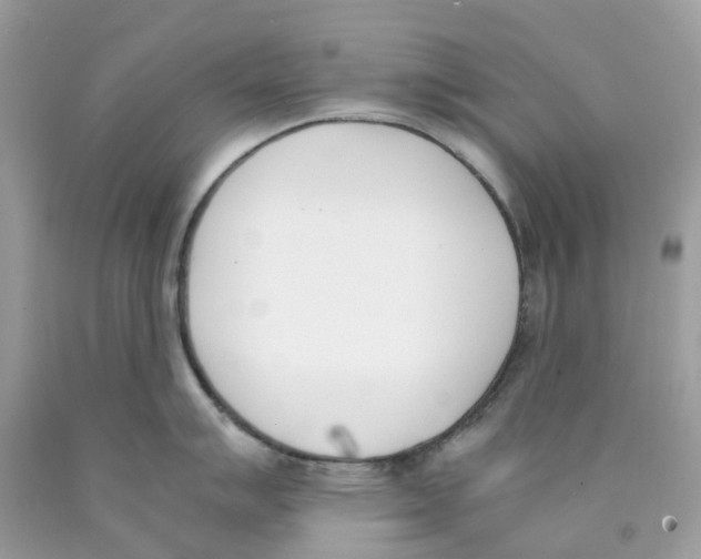 X0000089831007200707262020