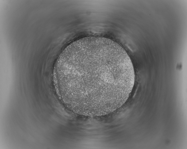 X0000089831009200707262019