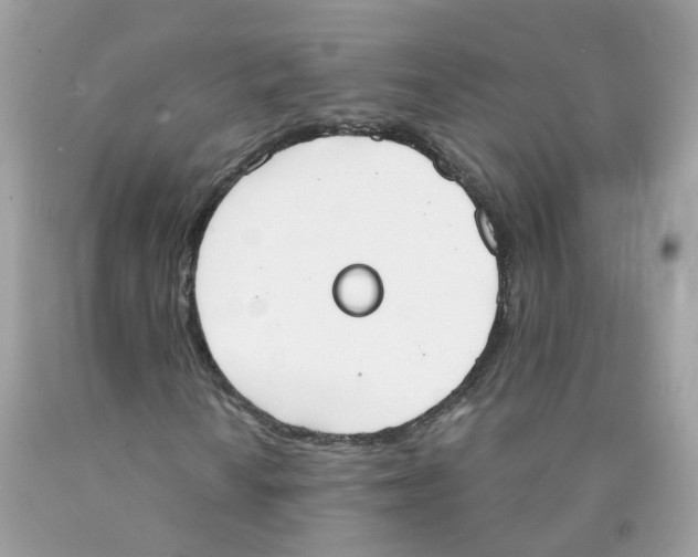 X0000089831010200707262019