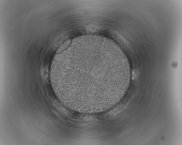 X0000089831011200707262019