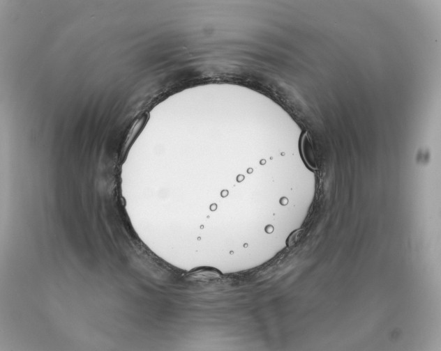 X0000089831012200707262019