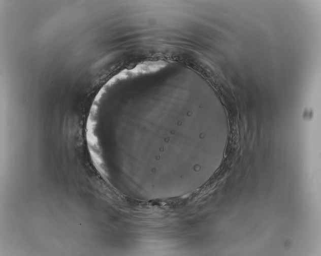X0000089831013200707262019