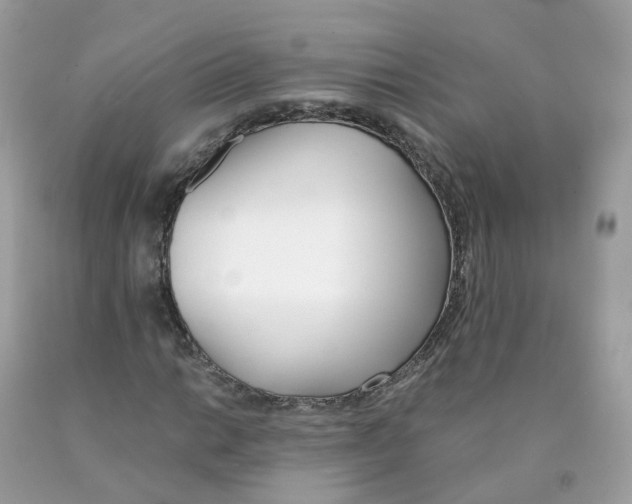 X0000089831014200707262019