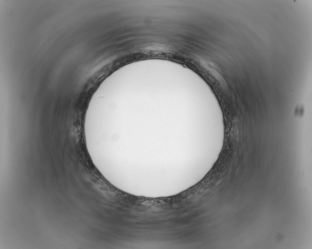 X0000089831015200707262019