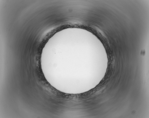 X0000089831016200707262019