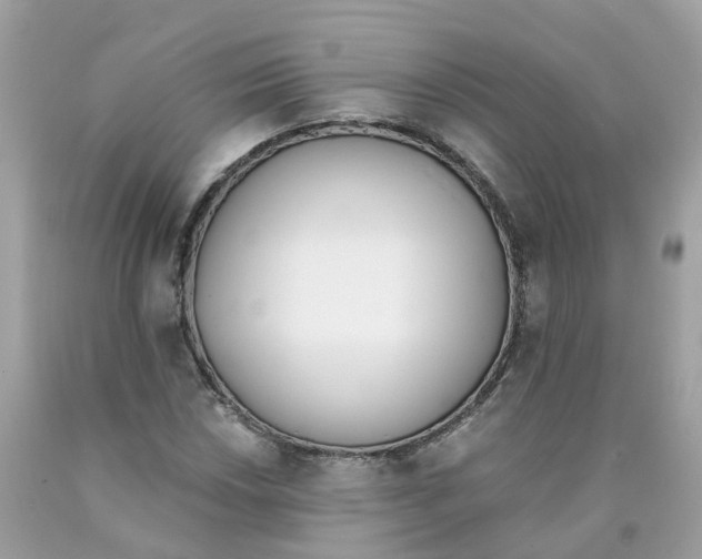 X0000089831018200707262019
